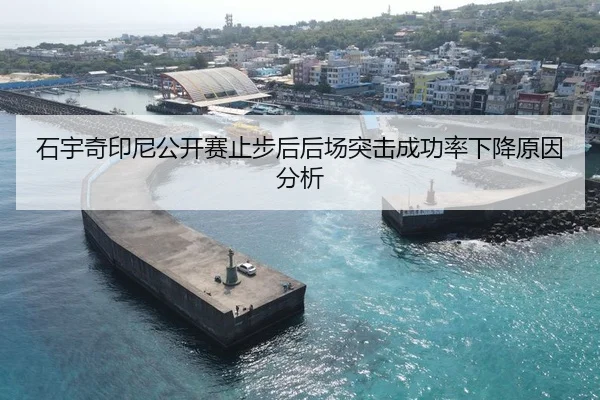 石宇奇印尼公开赛止步后后场突击成功率下降原因分析