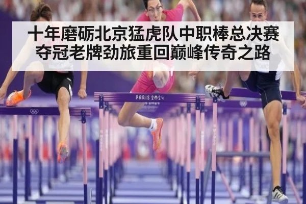 十年磨砺北京猛虎队中职棒总决赛夺冠老牌劲旅重回巅峰传奇之路