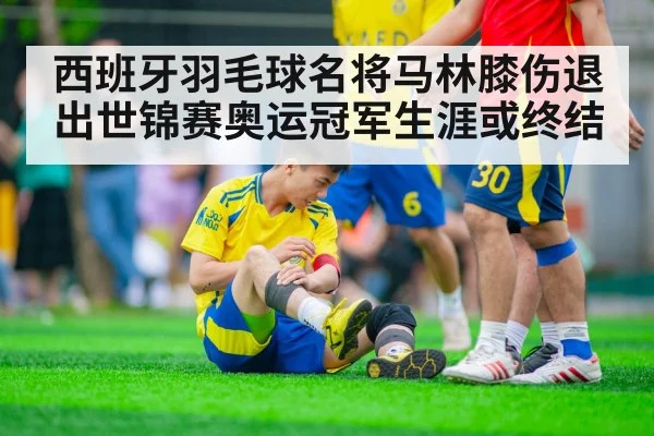 西班牙羽毛球名将马林膝伤退出世锦赛奥运冠军生涯或终结